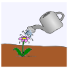 Watering+Can Picture