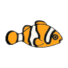 Swim+like+a+Clownfish Picture