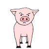 Impolite+Pig Picture