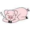 Sleeping+Pig Picture