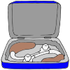 Hearing Aid Case Picture