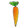 Carrot Picture