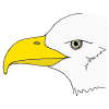 eagle Picture