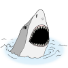 shark+teeth Picture