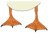 Duck+Feet Picture