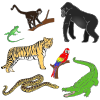 Jungle+Animals Picture