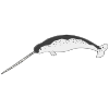 N+is+for+narwhal. Picture
