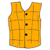 Vest Picture