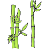 Bamboo+Forest Picture