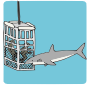 Shark Cage Picture