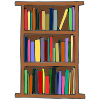 Bookshelves Picture