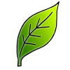 The+leaf+is+green. Picture