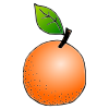 an+orange Picture