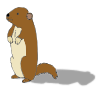 Groundhogs+are+medium-sized+rodents+with+robust+bodies_+short+legs_+and+a+bushy+tail. Picture