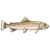 Who Swallowed a Trout Picture