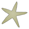 Starfish Picture