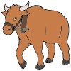oxen Picture
