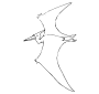 Pterodactyl Outline