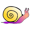 Caracol Picture