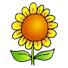 sunflower+%28sun-flow-er%29 Picture