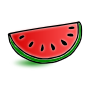 Watermelon Picture
