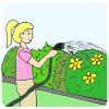 The+girl+is+watering+the+garden. Picture