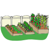 vegetable+garden Picture