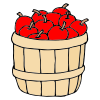 b+ushel+of+apples Picture