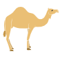 Camel Stencil
