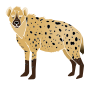 Hyena Stencil
