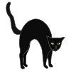 black+cat Picture
