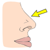 Nose-organ+above+the+mouth+for+smelling+and+articulation Picture