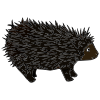 Dance+like+a+porcupine Picture