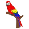 The+parrot+flew+away. Picture