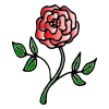 Red+Rose Picture