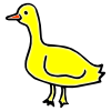 Duck+-+Quack Picture