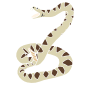 Rattlesnake Stencil