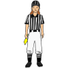 Referee Picture