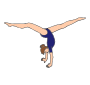Gymnastics Picture