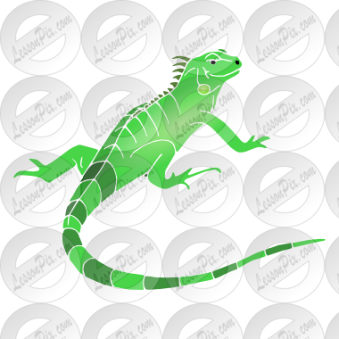 Iguana Stencil