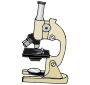 Microscope Picture