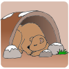 Caves+make+a+great+den+for+large+animals+in+winter. Picture
