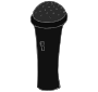 Microphone Picture