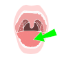 Tongue Stencil