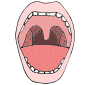 Mouth Picture