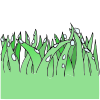 Grass Picture