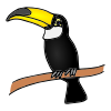 Toucan Picture