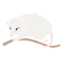 Possum Stencil