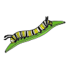 A+caterpillar+crawls. Picture