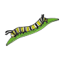 Caterpillar Picture